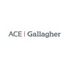 ACE Gallagher Arabia Insurance Brokers